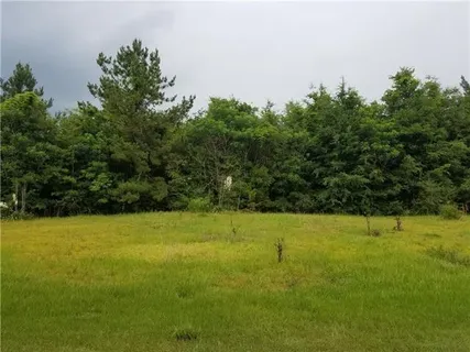 $46,900 | 82397 Bush Vineyard Lane, Bush, LA 70431