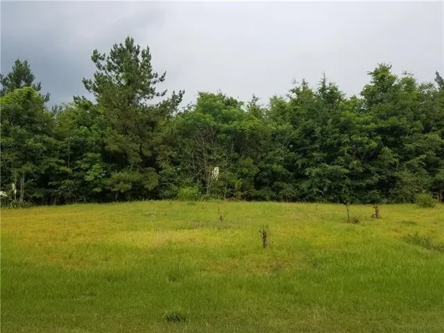 $46,900 | 82397 Bush Vineyard Lane, Bush, LA 70431