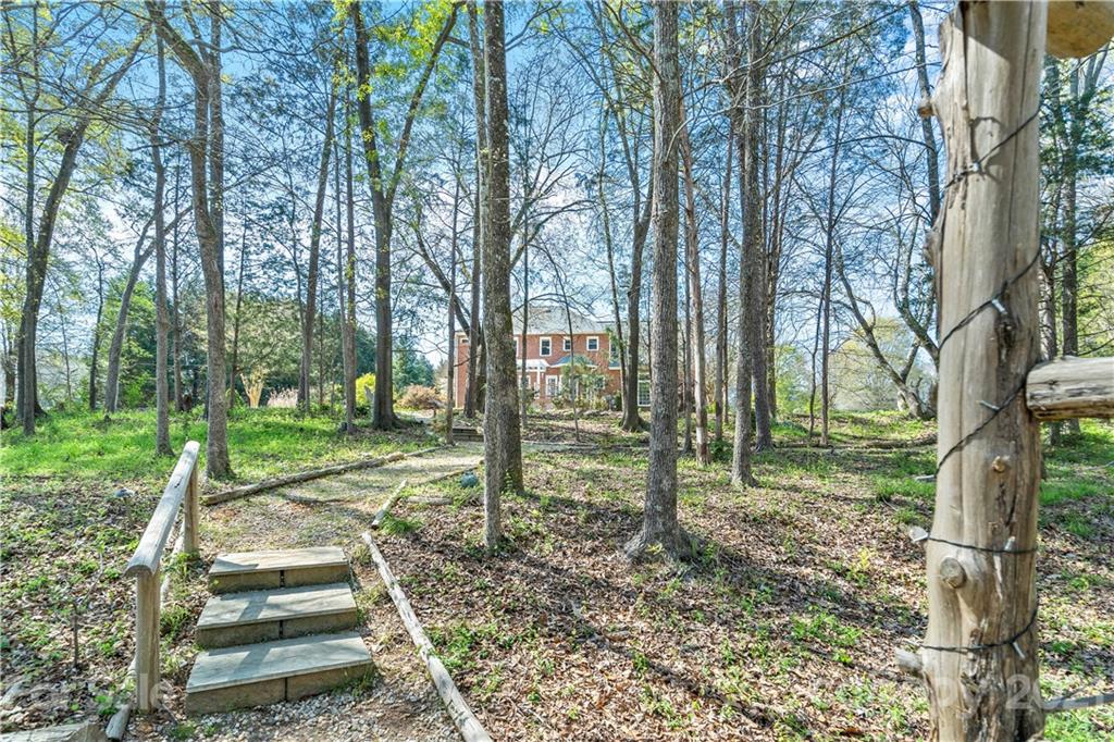 8866 Collins Road Indian Land, SC 29707 - Photo 45 of 48 a view of a yard with plants and trees