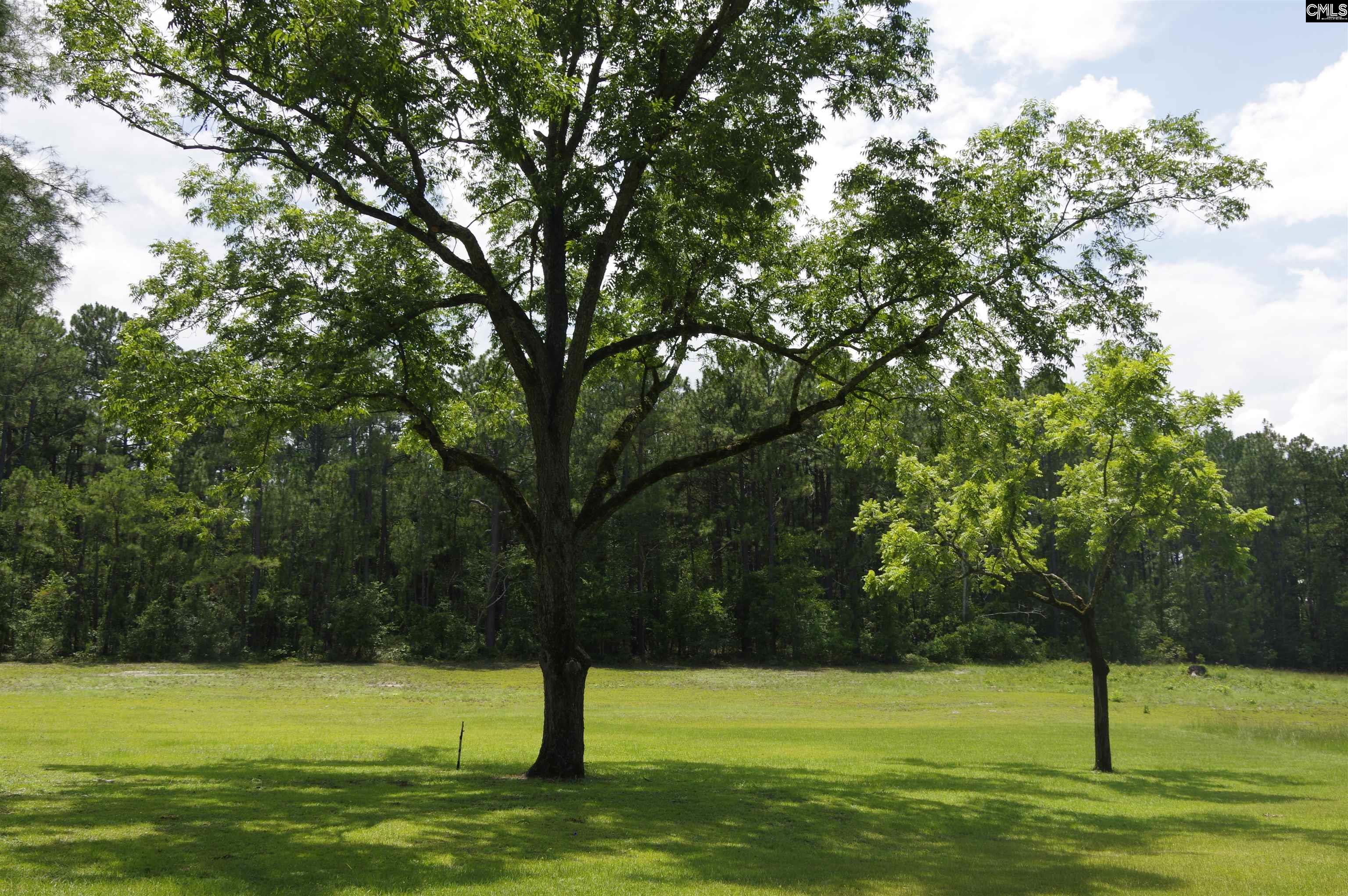 2249 Pepper Road Lexington, SC 29073 - Photo 1 of 4 Gallery Image 1