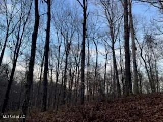 $45,000 | 1915 Mattaha Drive, Hernando, MS 38632