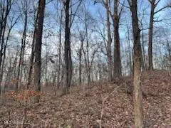 $45,000 | 1915 Mattaha Drive, Hernando, MS 38632