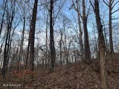 $45,000 | 1915 Mattaha Drive, Hernando, MS 38632