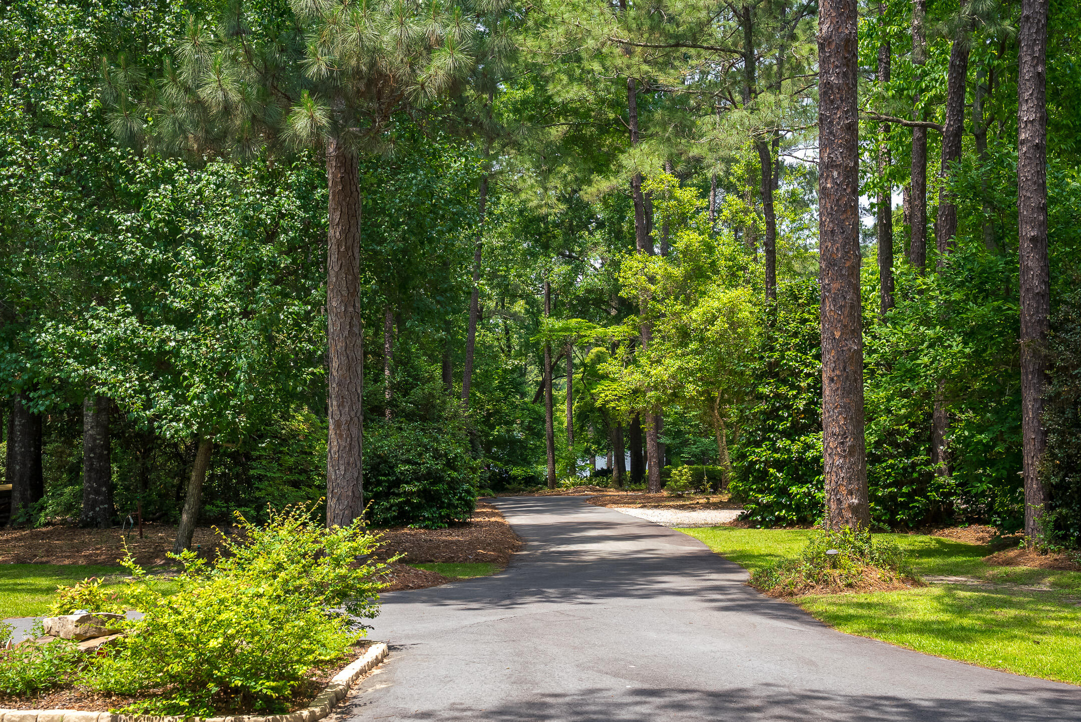 1049 Edisto Lake Road Wagener, SC 29164 - Photo 89 of 96