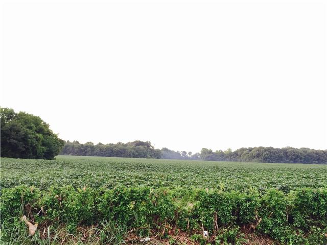 3864 Yeargan Road Murfreesboro, TN 37128 - Photo 5 of 7 a view of a grassy field with trees in the background