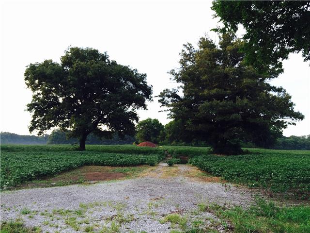 3864 Yeargan Road Murfreesboro, TN 37128 - Photo 6 of 7 a view of a park