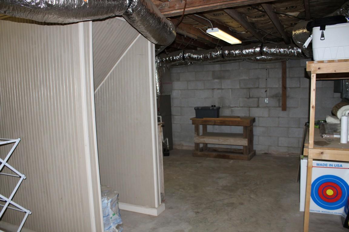 2822 Shut In Gap Road Spring City, TN 37381 - Photo 20 of 53 basement 3