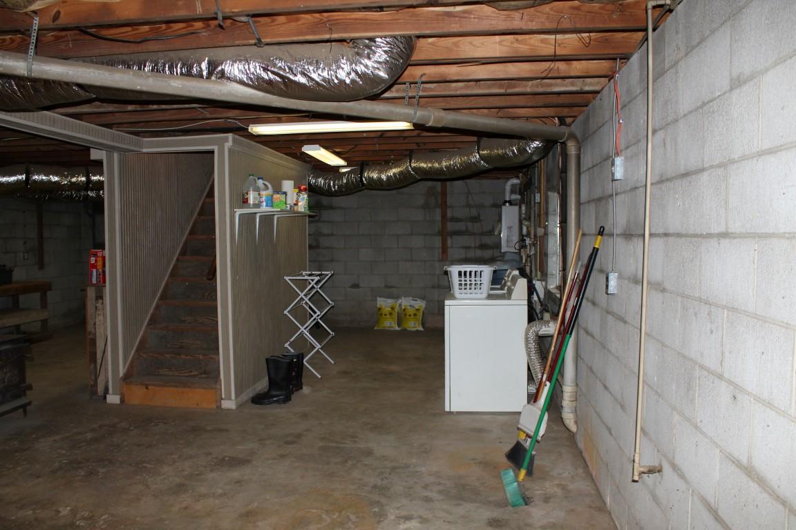 2822 Shut In Gap Road Spring City, TN 37381 - Photo 22 of 53 basement 2