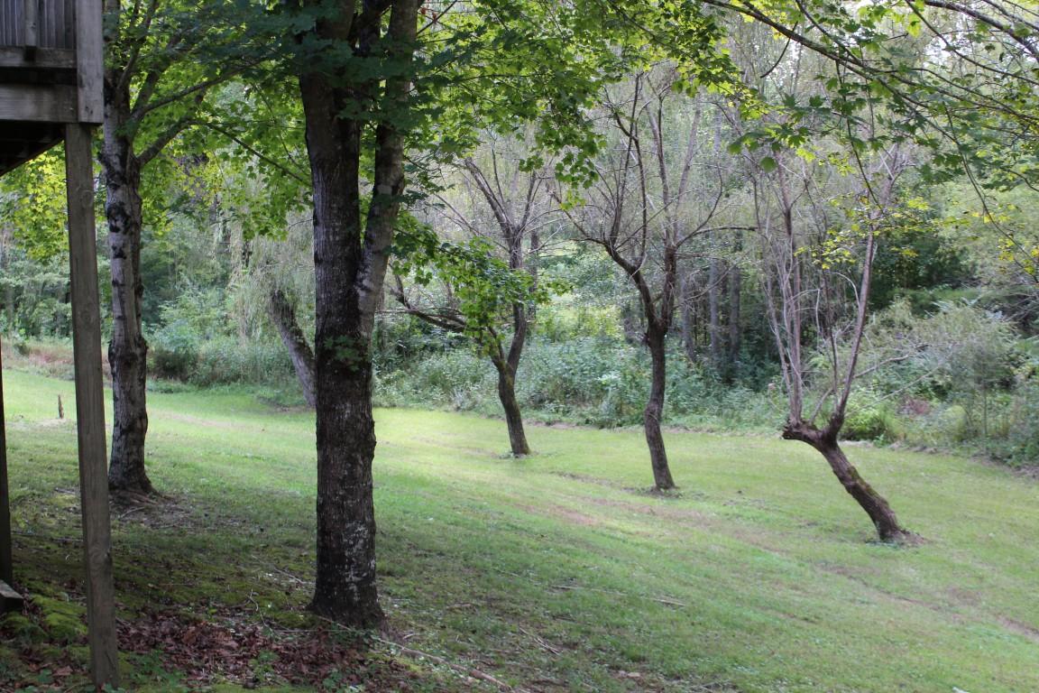 2822 Shut In Gap Road Spring City, TN 37381 - Photo 26 of 53 trees on property