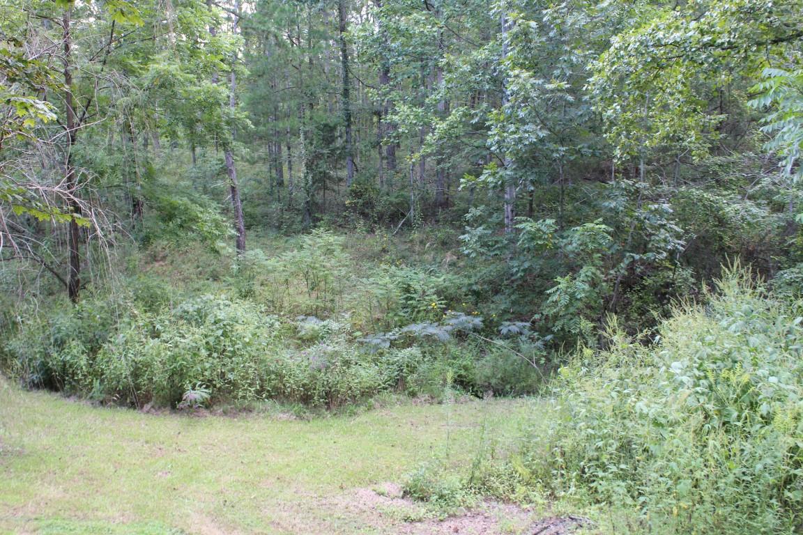 2822 Shut In Gap Road Spring City, TN 37381 - Photo 27 of 53 wooded area
