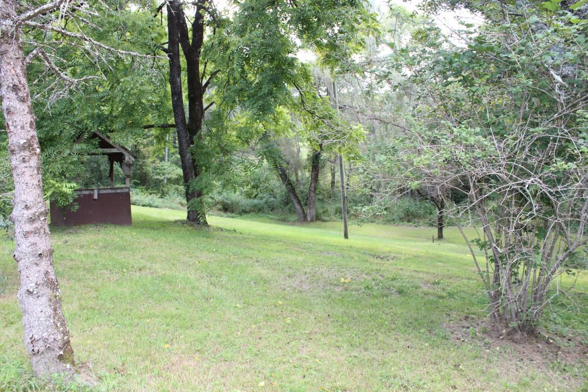 2822 Shut In Gap Road Spring City, TN 37381 - Photo 28 of 53 property
