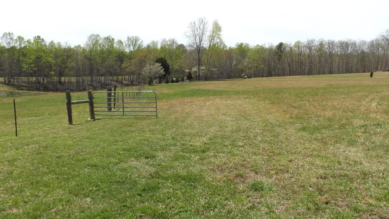 2822 Shut In Gap Road Spring City, TN 37381 - Photo 39 of 53 back property 2