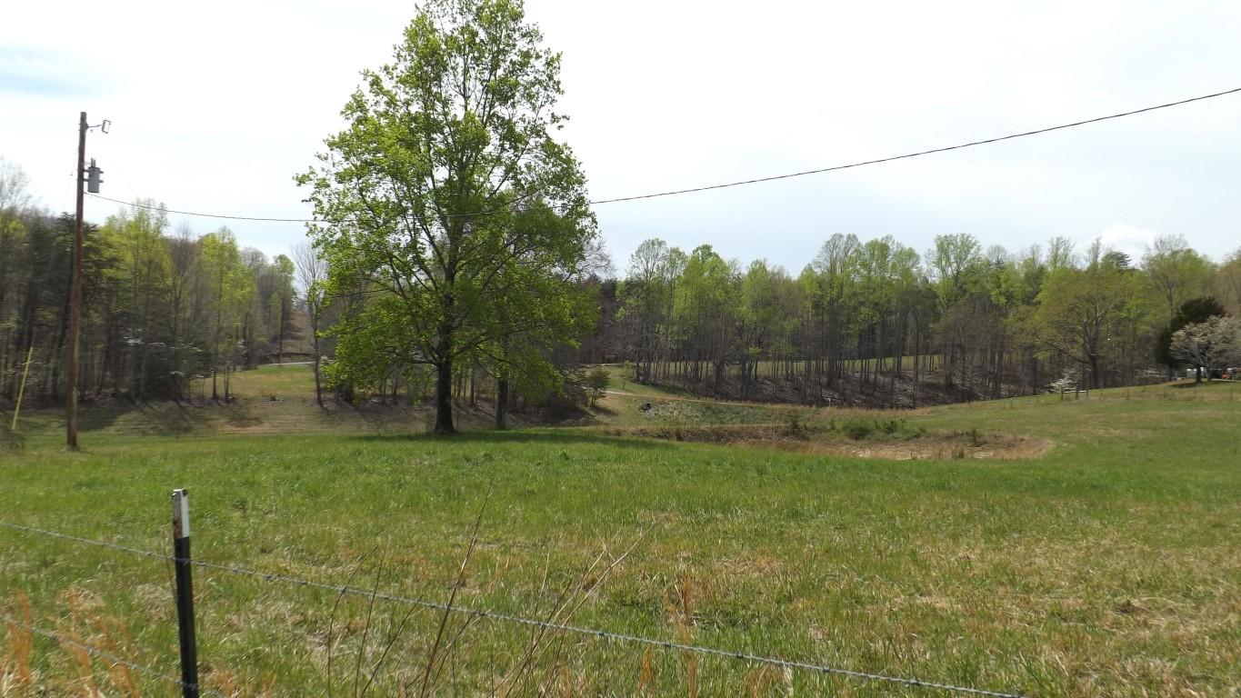 2822 Shut In Gap Road Spring City, TN 37381 - Photo 41 of 53 back property