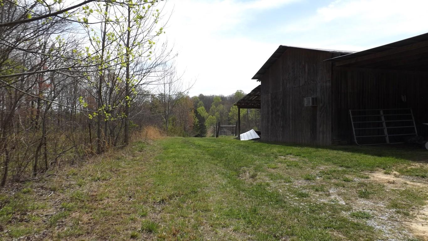 2822 Shut In Gap Road Spring City, TN 37381 - Photo 42 of 53 back side of barn