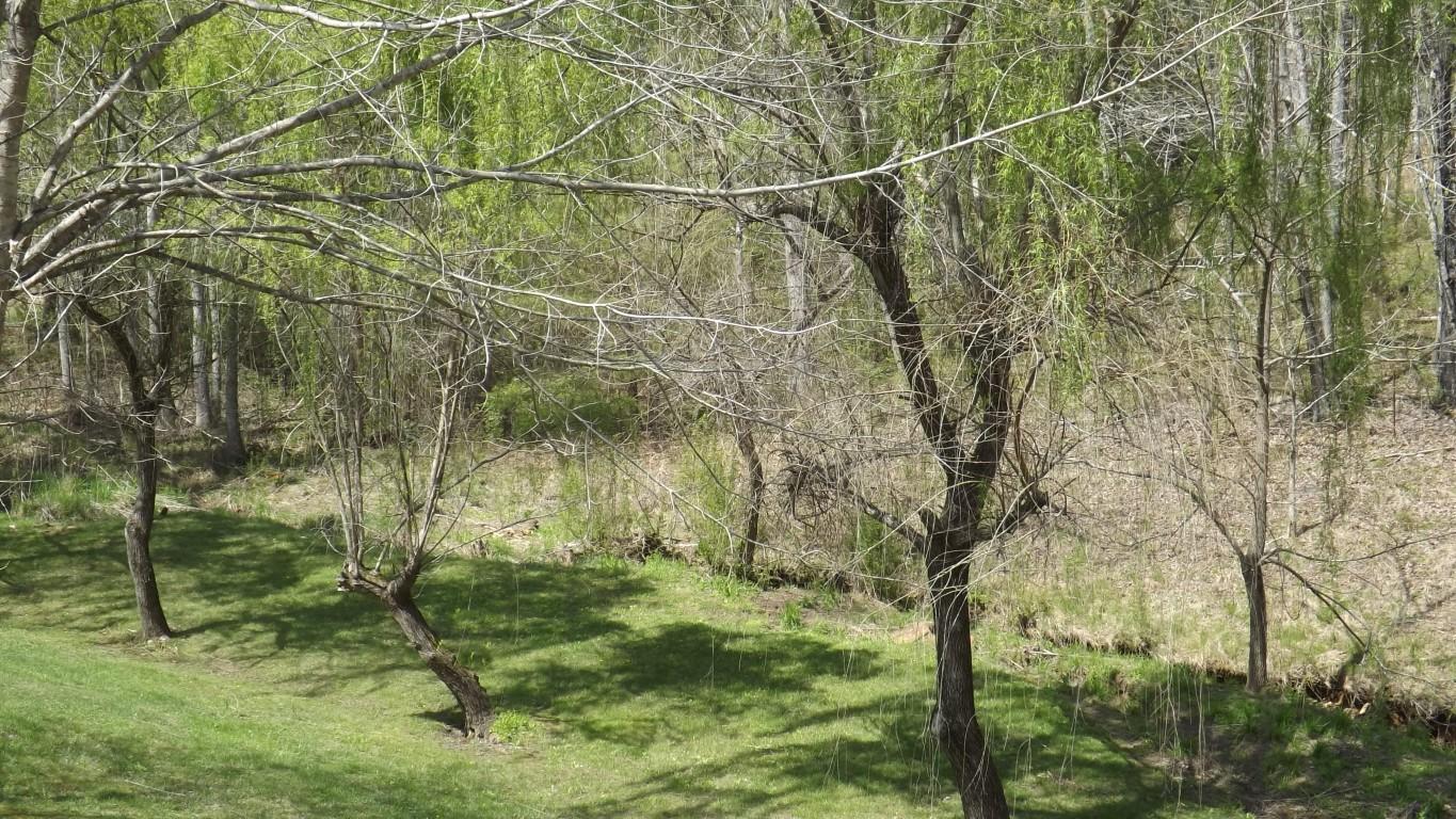 2822 Shut In Gap Road Spring City, TN 37381 - Photo 43 of 53 back yard 2