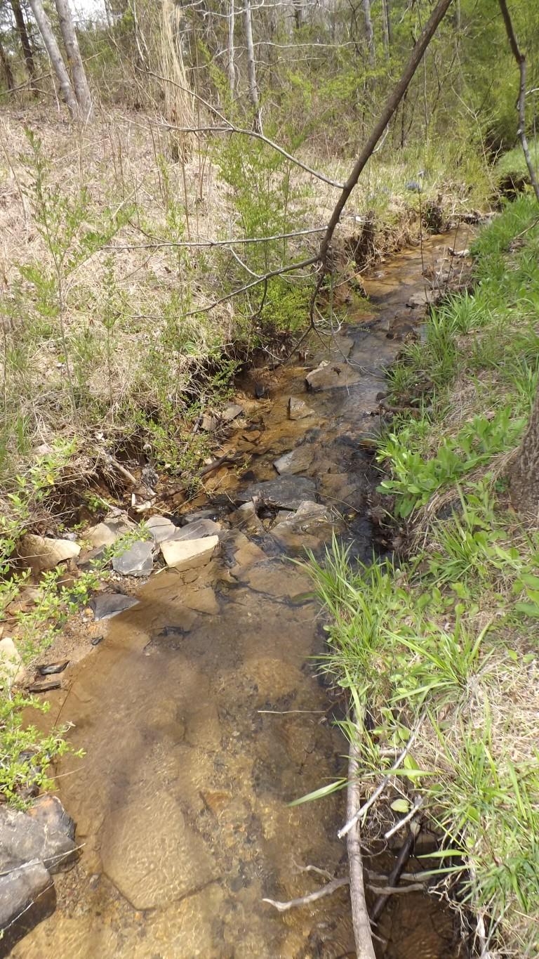 2822 Shut In Gap Road Spring City, TN 37381 - Photo 46 of 53 creekbed 4