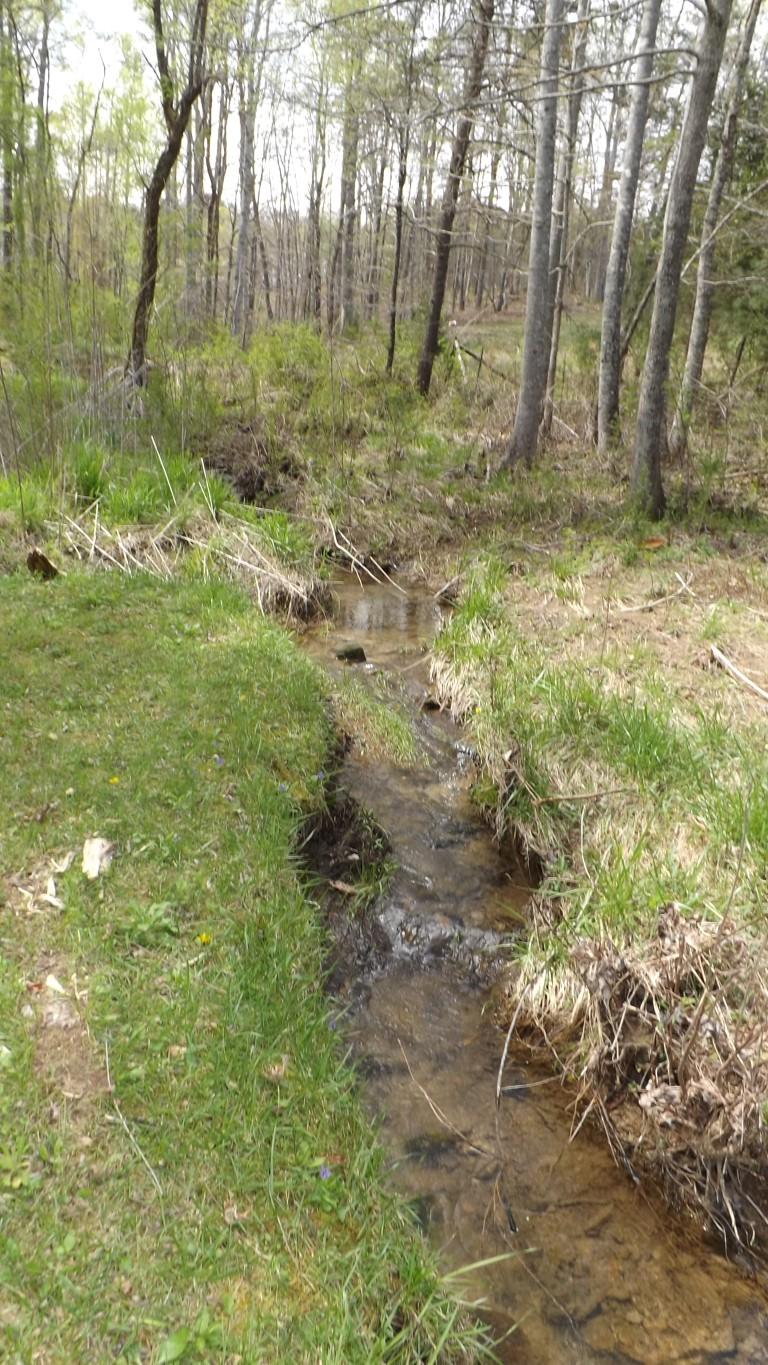 2822 Shut In Gap Road Spring City, TN 37381 - Photo 47 of 53 creekbed 5