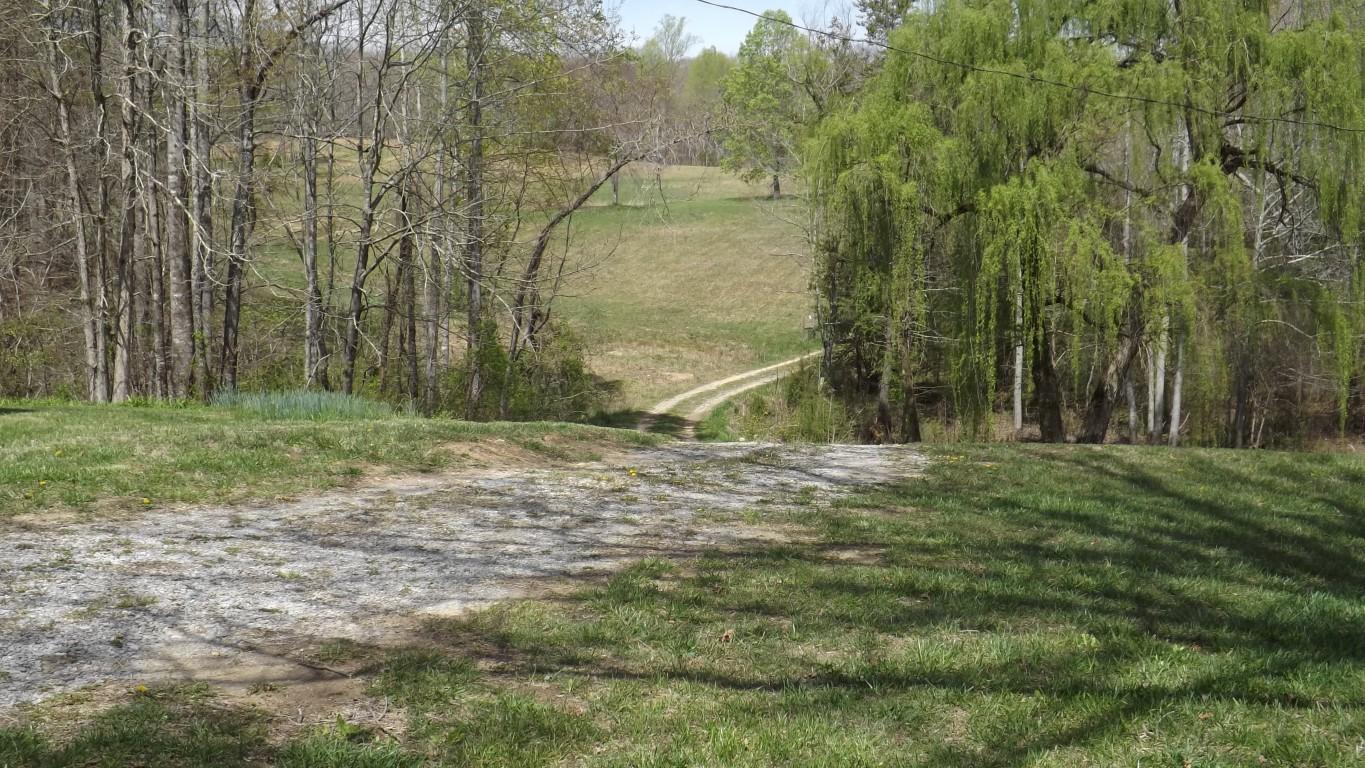 2822 Shut In Gap Road Spring City, TN 37381 - Photo 48 of 53 drive to property