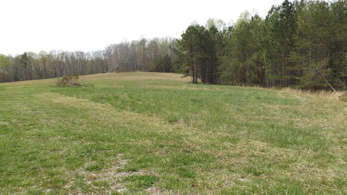 2822 Shut In Gap Road Spring City, TN 37381 - Photo 50 of 53 property 4