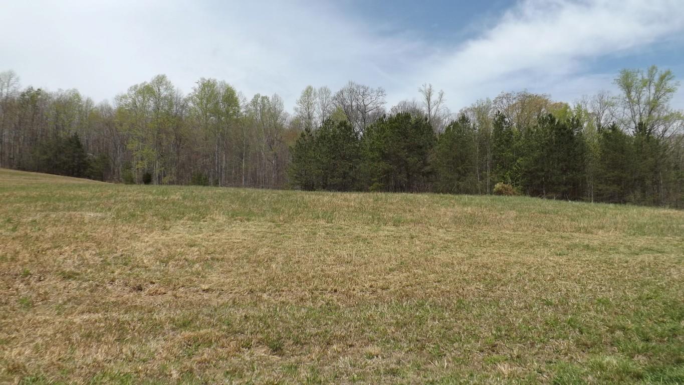 2822 Shut In Gap Road Spring City, TN 37381 - Photo 52 of 53 property 6