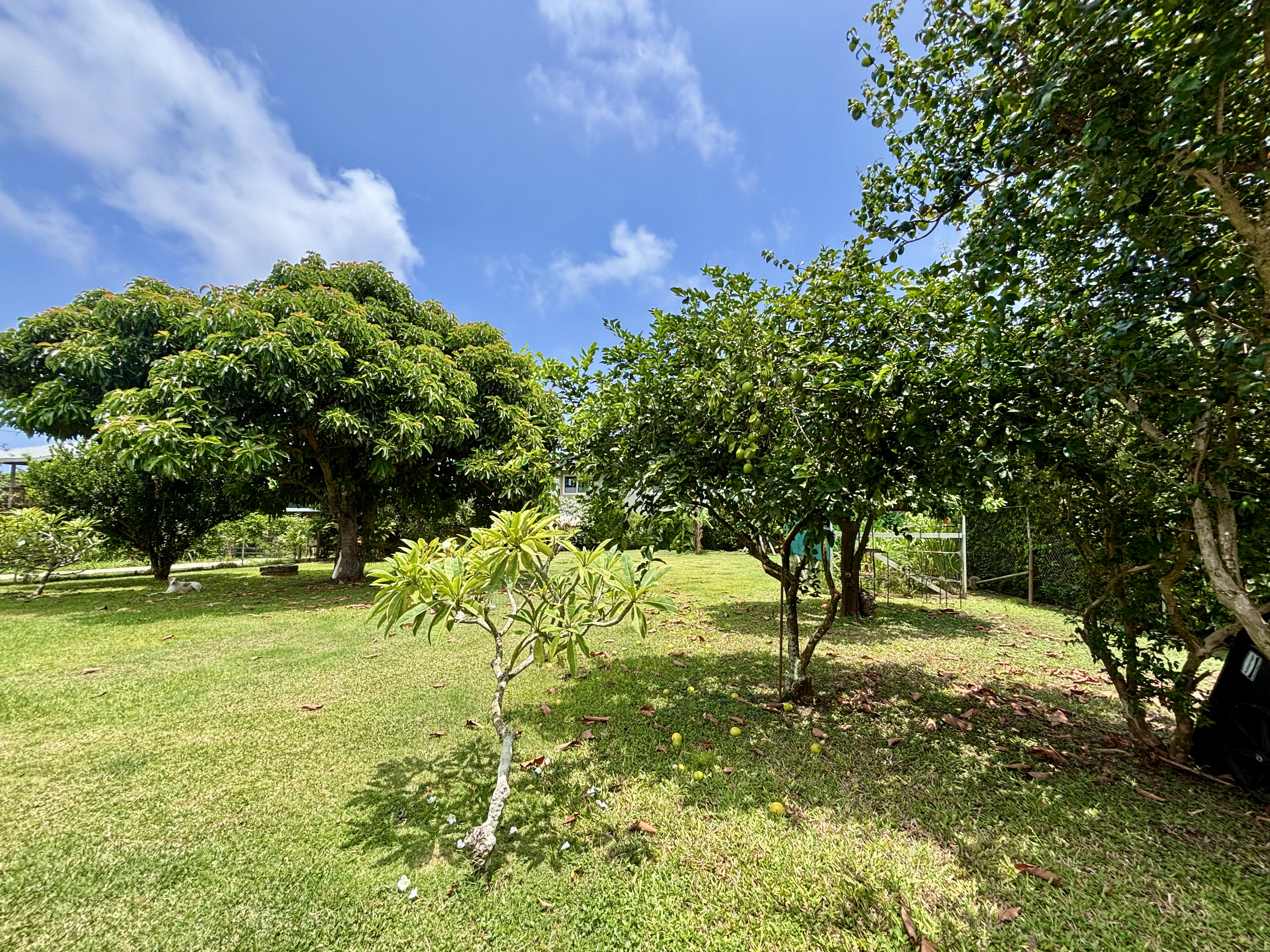 396 Pua Road Kapaa, HI 96746 - Photo 15 of 18 Gallery Image 15