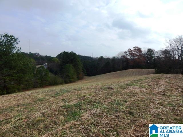 351 Beasley Road Gardendale, AL 35071 - Photo 6 of 6
