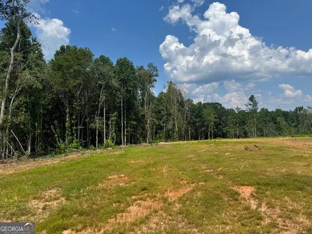 $261,250 | Lot 4 Happy Hollow Road, Roopville, GA 30170