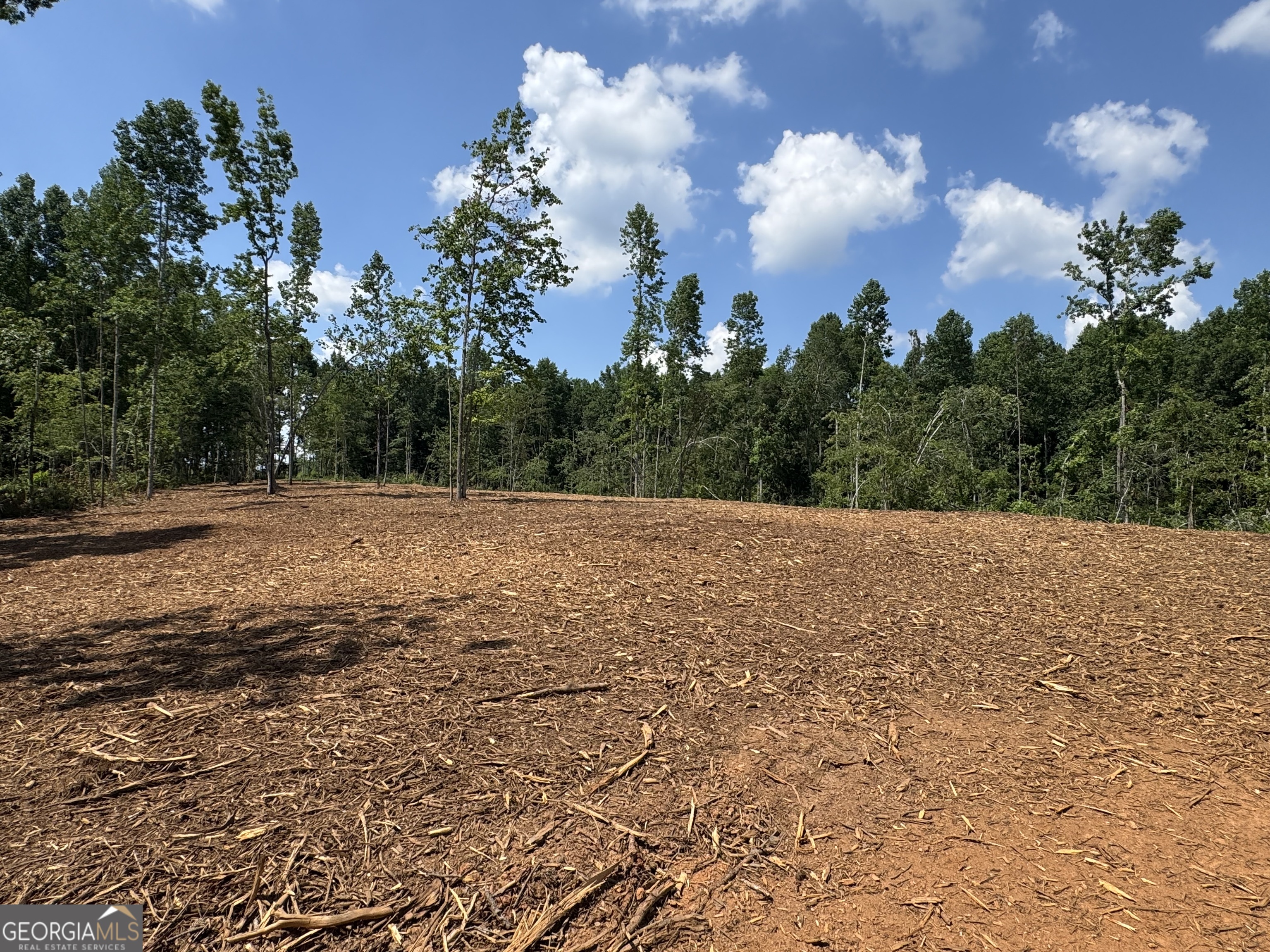 Lot 4 Happy Hollow Road Roopville, GA 30170 - Photo 4 of 9 a view of a backyard of the house