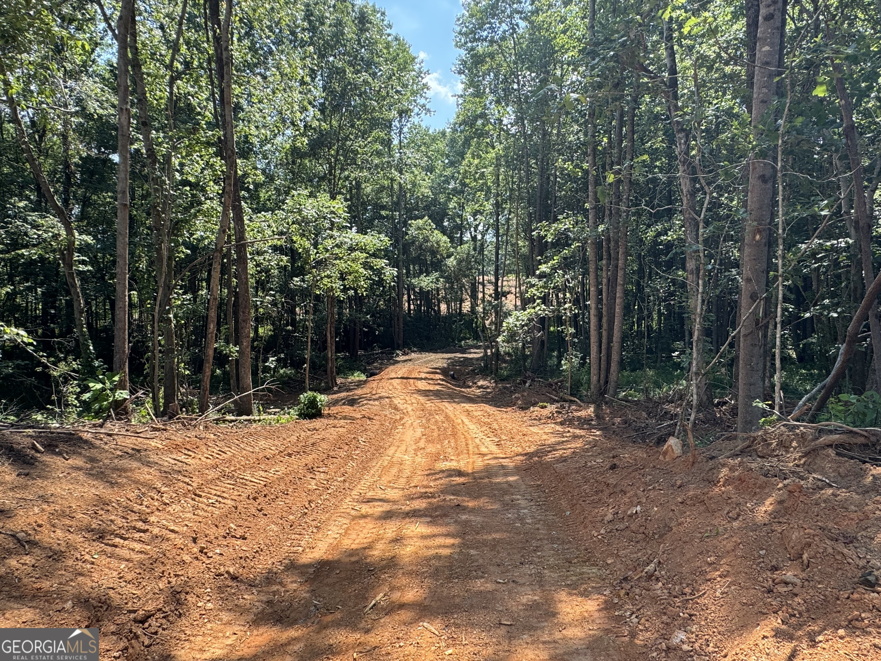 Lot 4 Happy Hollow Road Roopville, GA 30170 - Photo 5 of 9 a backyard of a house with lots of green space