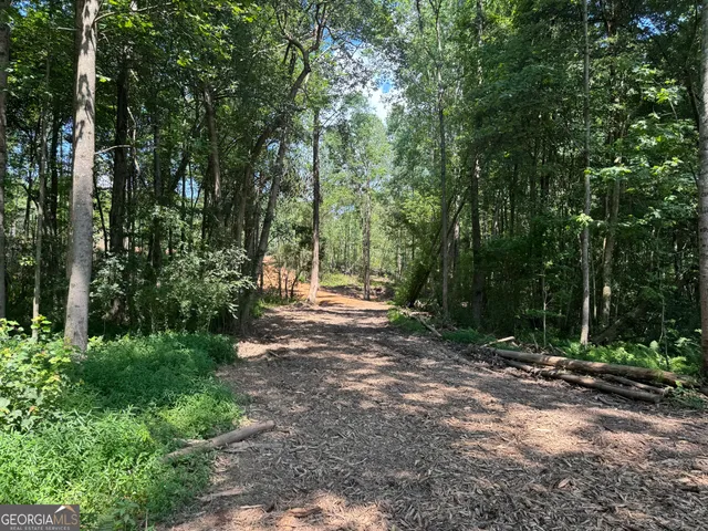 $261,250 | Lot 4 Happy Hollow Road, Roopville, GA 30170