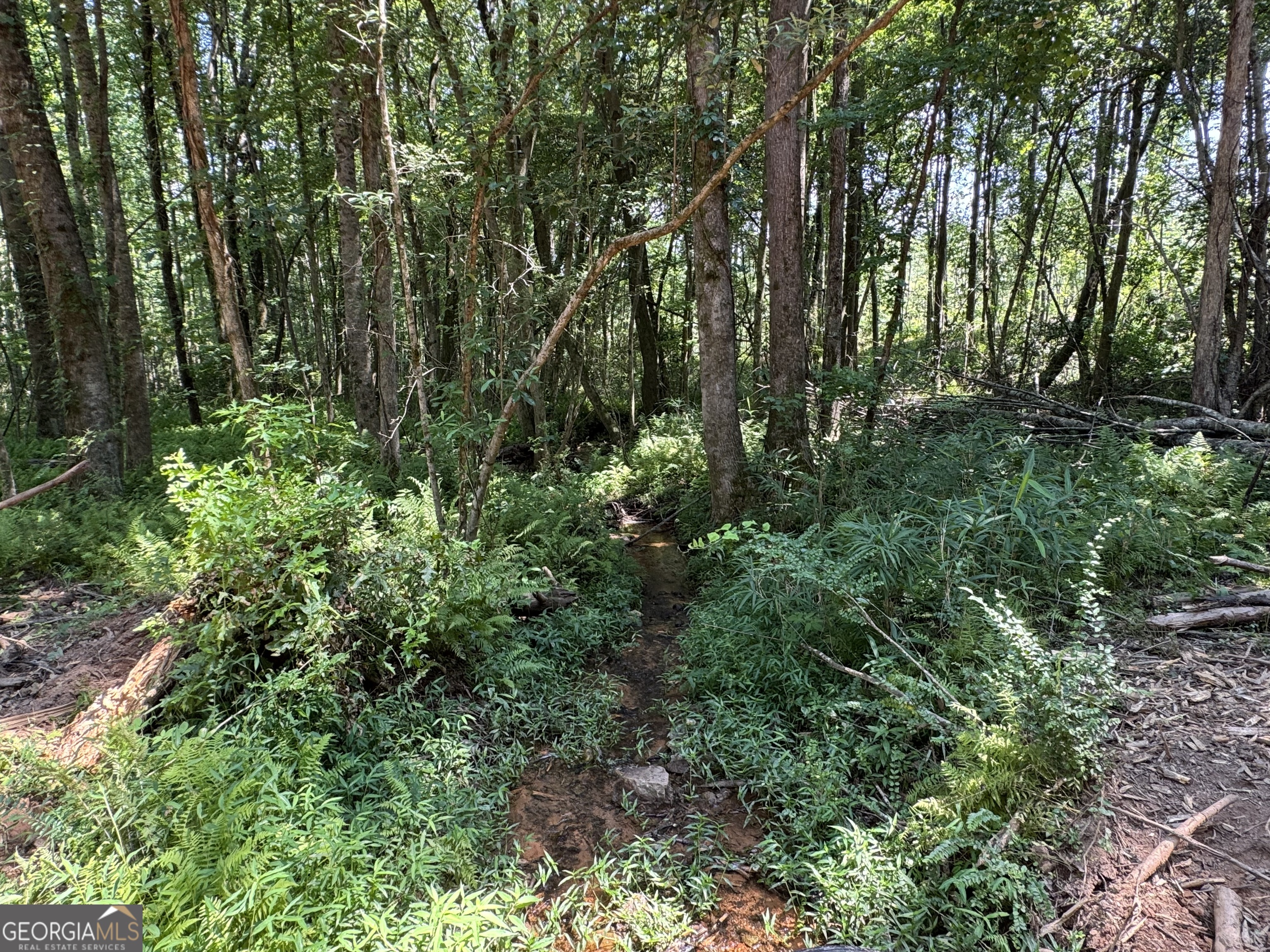 Lot 4 Happy Hollow Road Roopville, GA 30170 - Photo 7 of 9 a view of outdoor space and trees