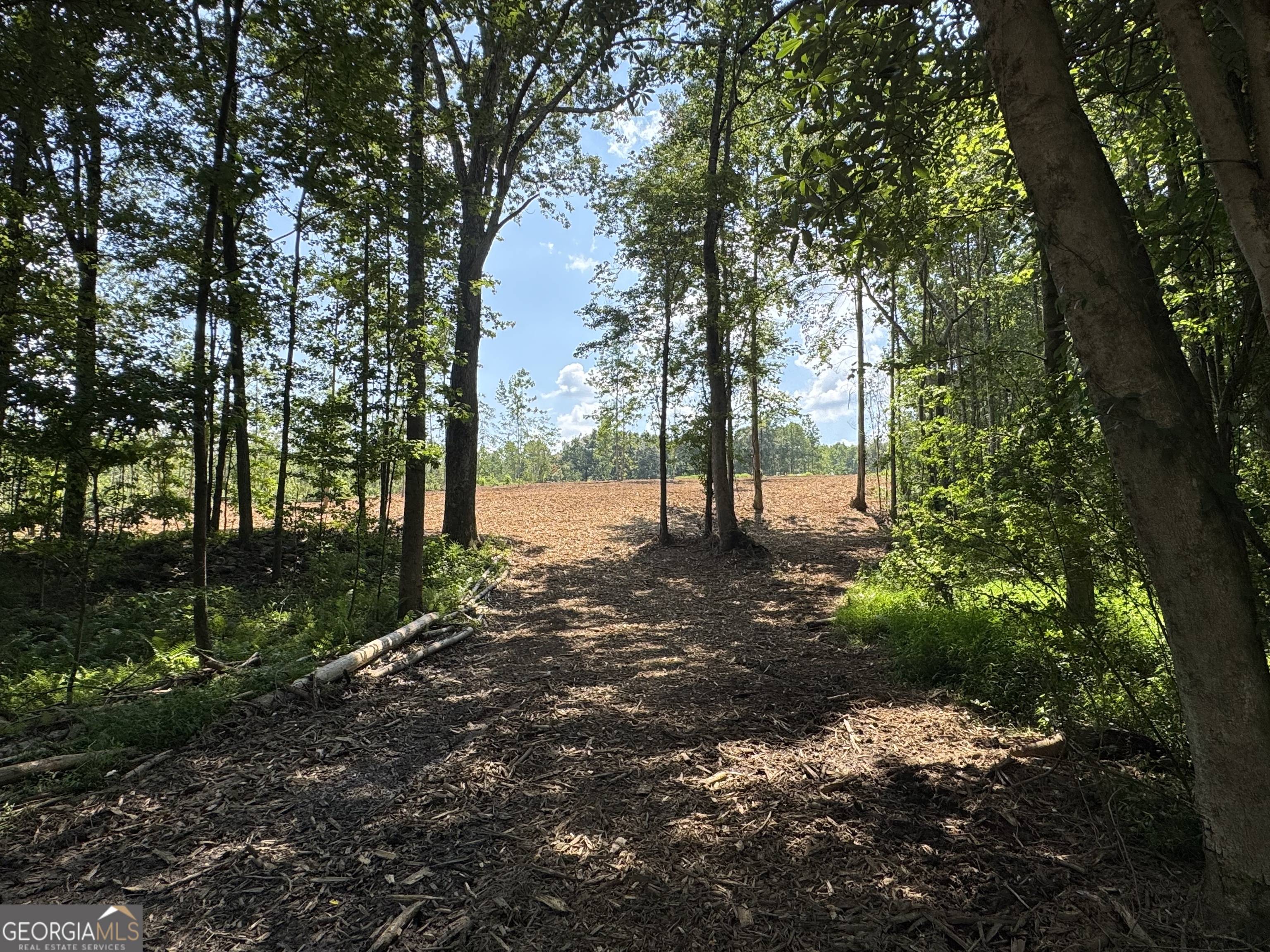 Lot 4 Happy Hollow Road Roopville, GA 30170 - Photo 9 of 9 a view of a tree in the middle of a yard