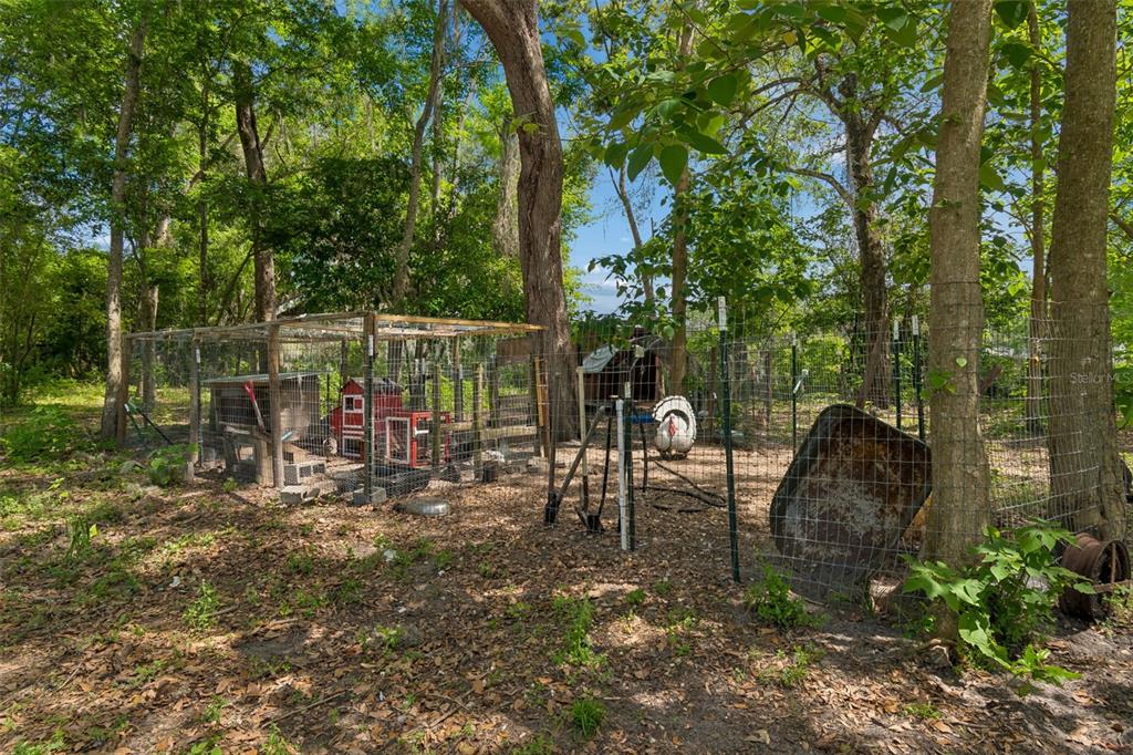 17114 Brittle Road Brooksville, FL 34601 - Photo 44 of 52