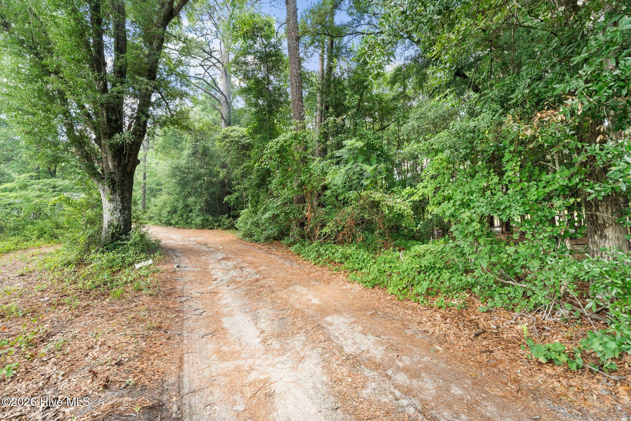 296 Middle River Road Northeast Supply, NC 28462 - Photo 47 of 76
