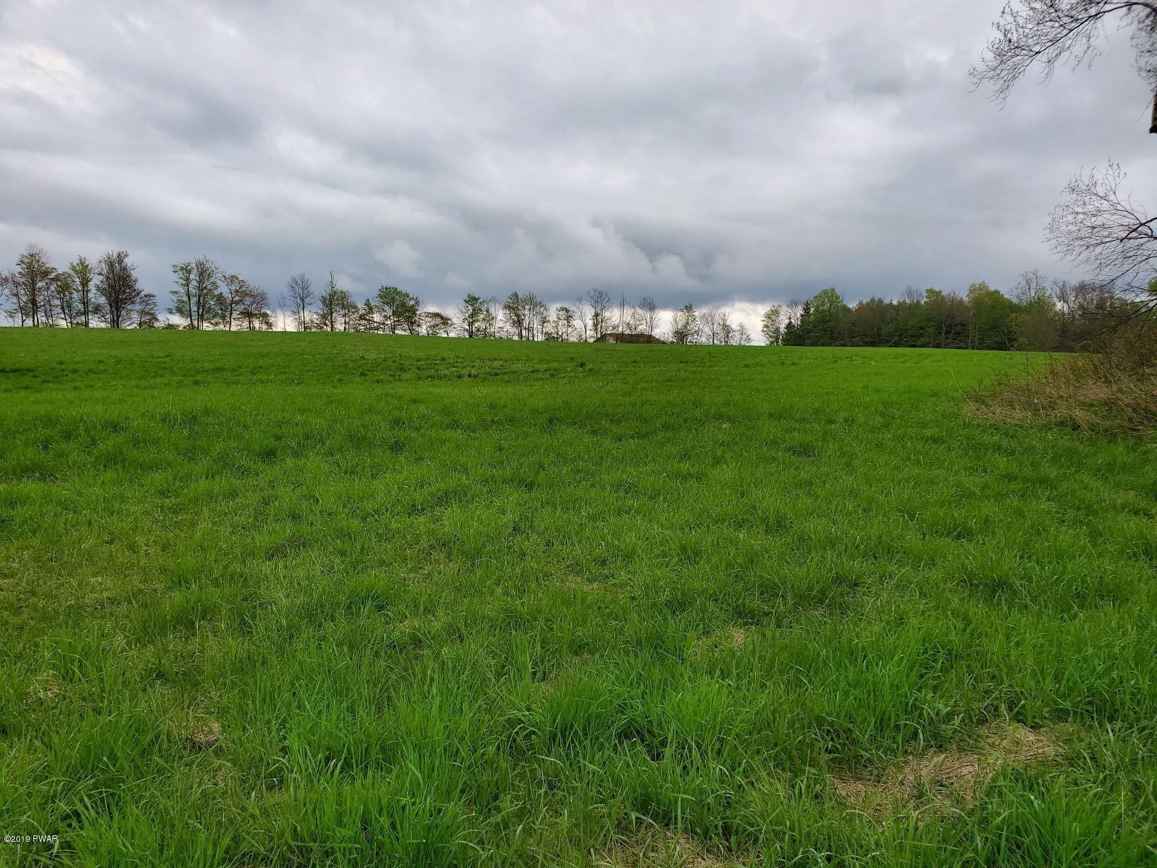 Lot 5 Ledgedale Rd Lake Lake Ariel, PA 18436 - Photo 1 of 9