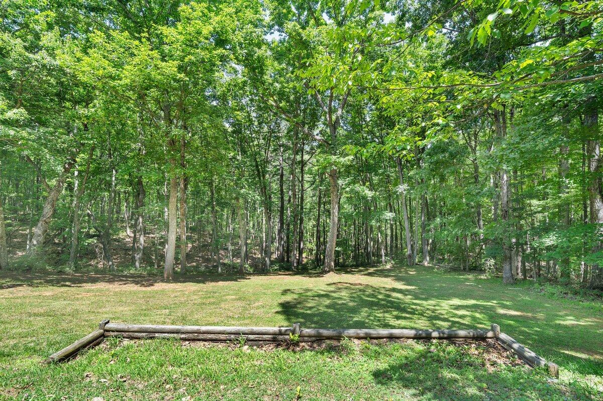375 Silver Shadow Road Hardy, VA 24101 - Photo 40 of 48 a view of a yard with large trees