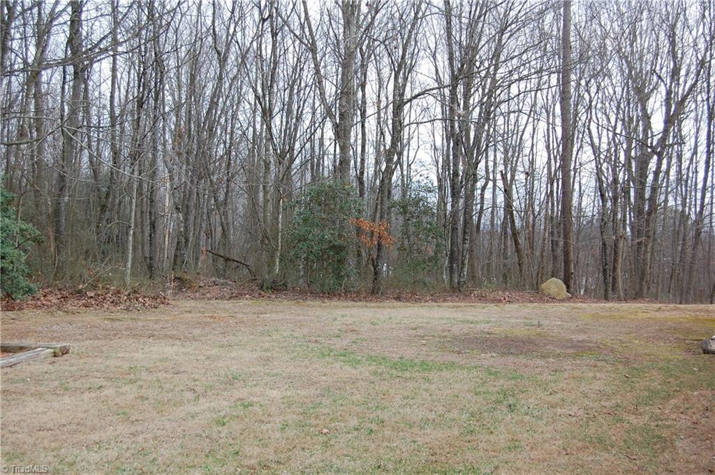 7650 Austin Traphill Road Elkin, NC 28621 - Photo 8 of 23 Gallery Image 8