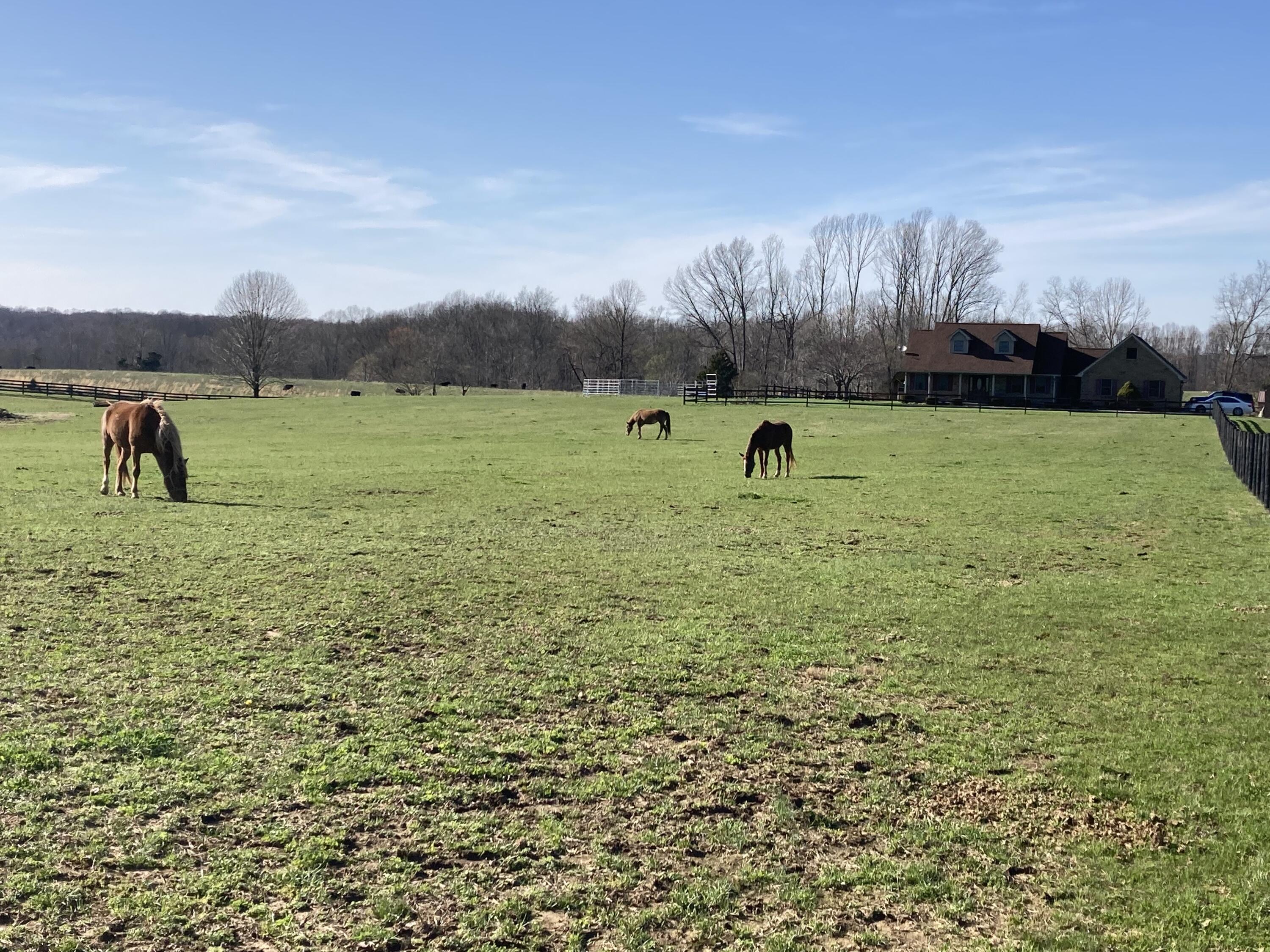 90 Denson Road Liberty, KY 42539 - Photo 52 of 57 IMG_2264