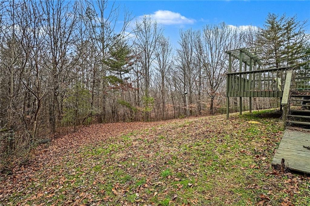 1497 Harris Road Jasper, GA 30143 - Photo 25 of 32 a backyard of a house with lots of green space