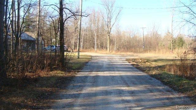 4864 Fish Road Smiths Creek, MI 48074 - Photo 2 of 14 DSC02414 (Small).JPG