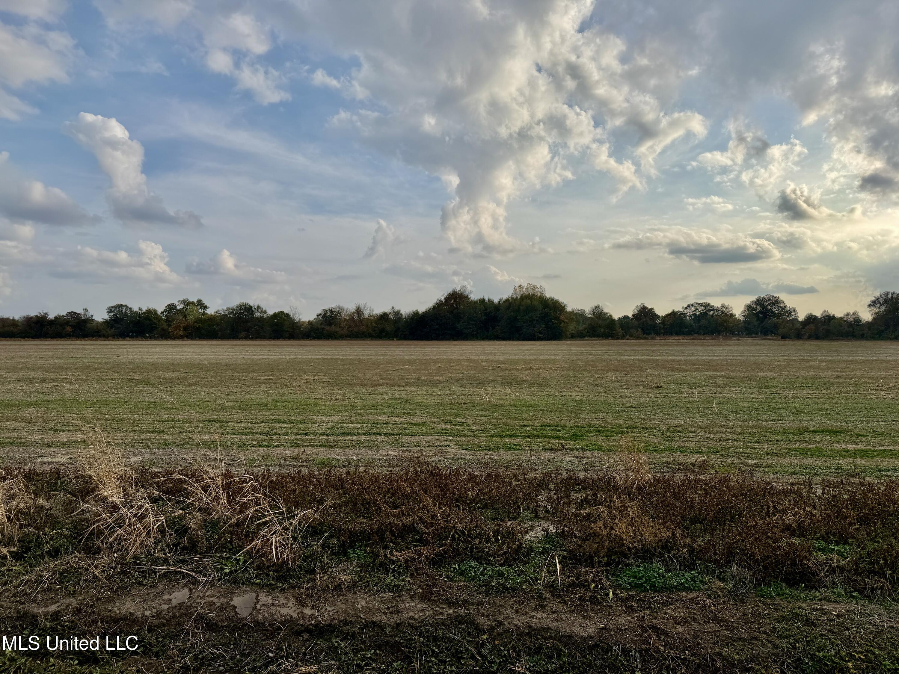 1250 V F W Road Greenville, MS 38701 - Photo 3 of 7 IMG_0730