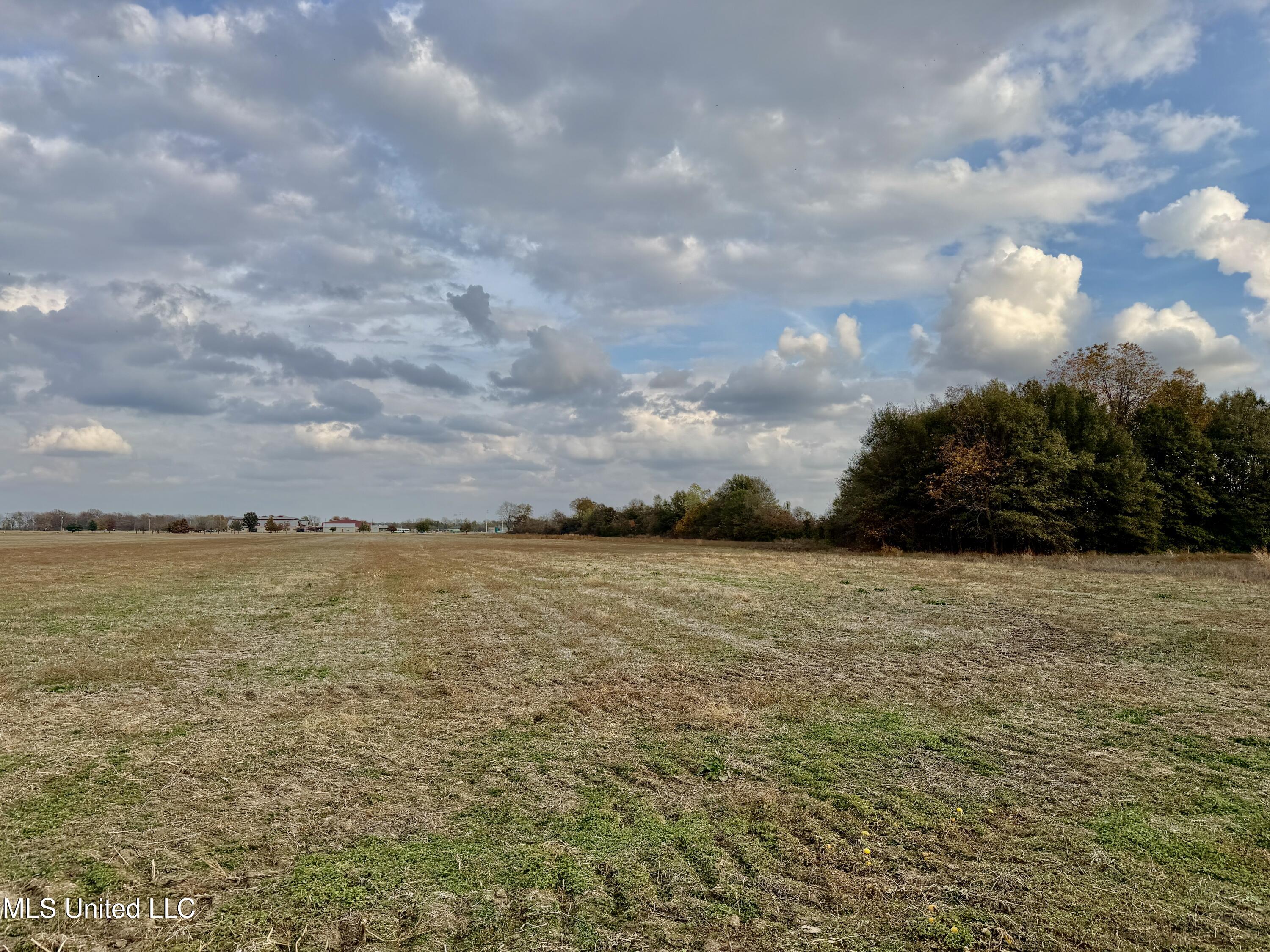 1250 V F W Road Greenville, MS 38701 - Photo 6 of 7 IMG_0733