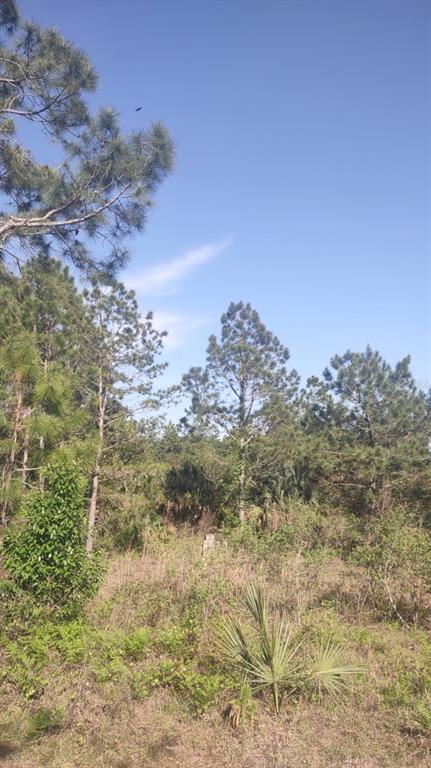 43718 Cooter Pond Road DeLand, FL 32720 - Photo 15 of 15