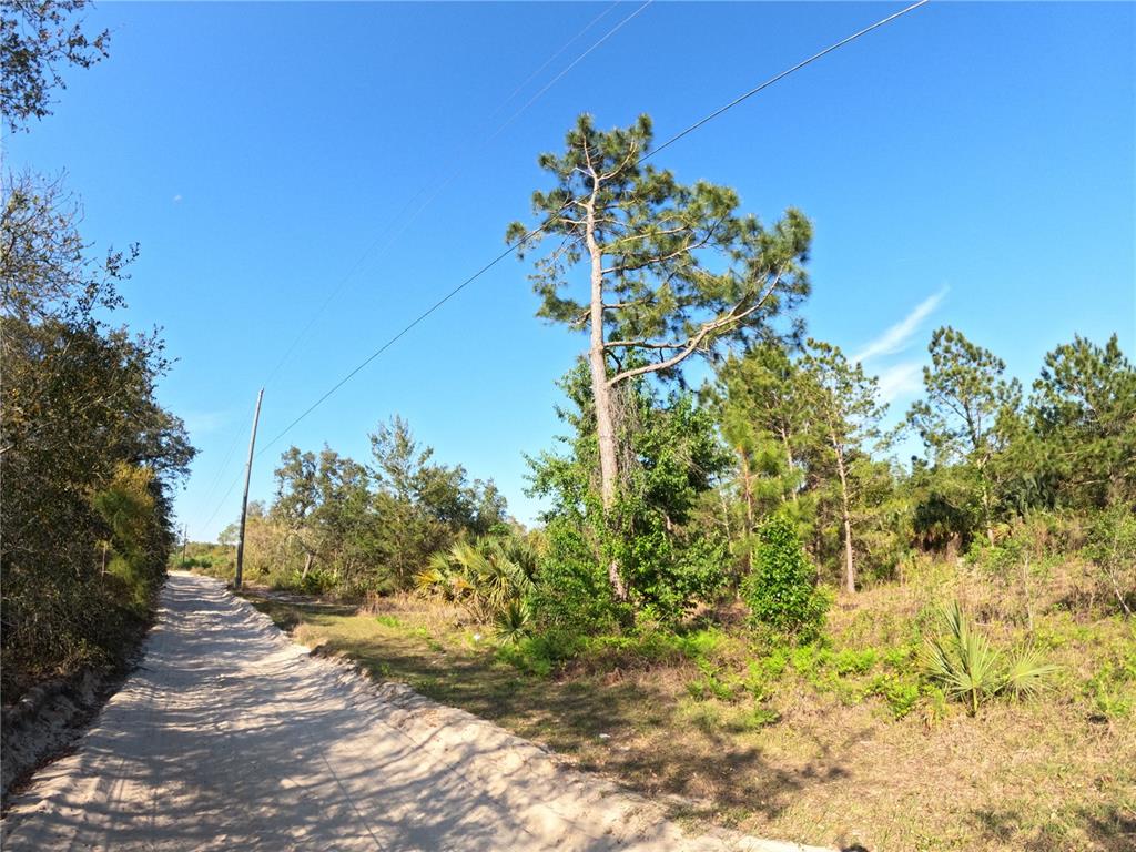 43718 Cooter Pond Road DeLand, FL 32720 - Photo 3 of 15 a view of a yard with plants and trees