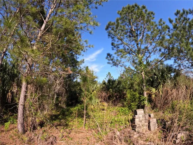 a view of a tree with a yard