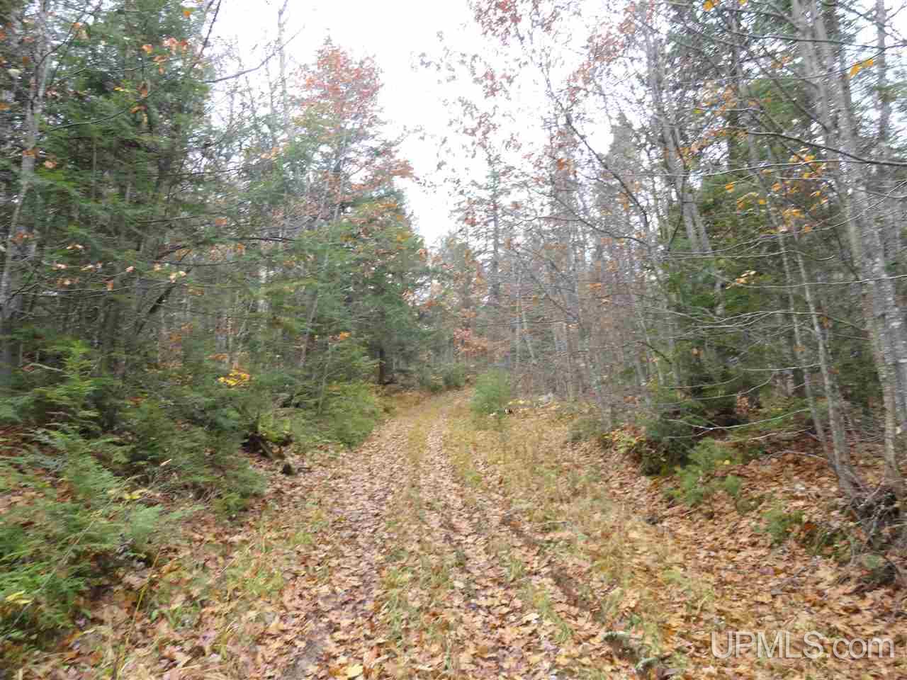 510 Rd Marquette Mi 49855 Road Negaunee, MI 49866 - Photo 19 of 26