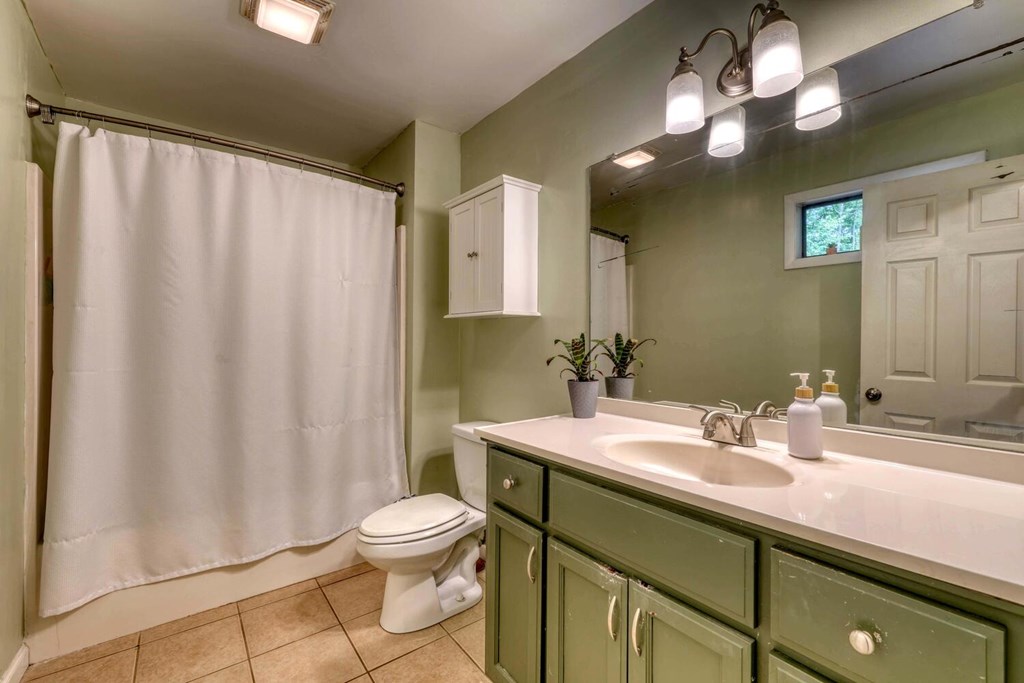 14 Priscilla Lane Murphy, NC 28906 - Photo 18 of 42 a bathroom with a sink a toilet and shower