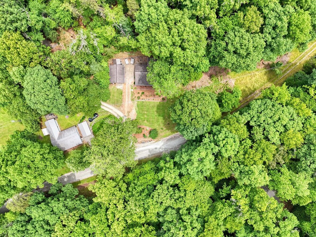 14 Priscilla Lane Murphy, NC 28906 - Photo 37 of 42 a view of a flower in a garden