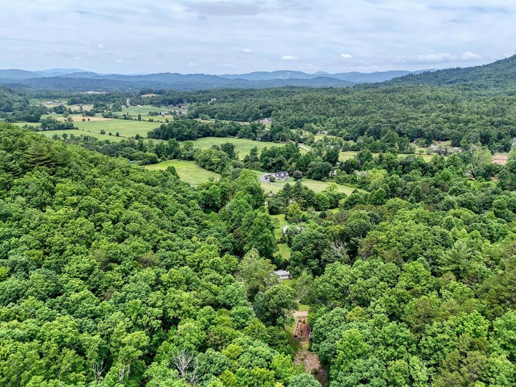 14 Priscilla Lane Murphy, NC 28906 - Photo 38 of 42 a view of a green field with lots of bushes