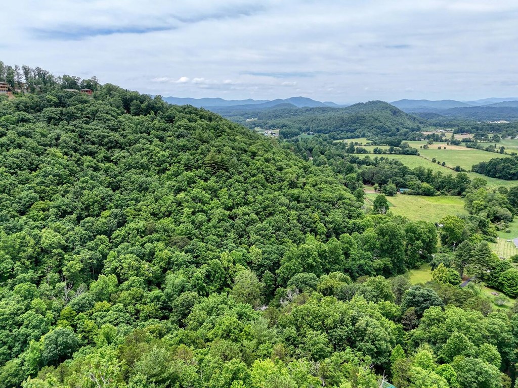 14 Priscilla Lane Murphy, NC 28906 - Photo 39 of 42 an aerial view of a houses with a lush green hillside